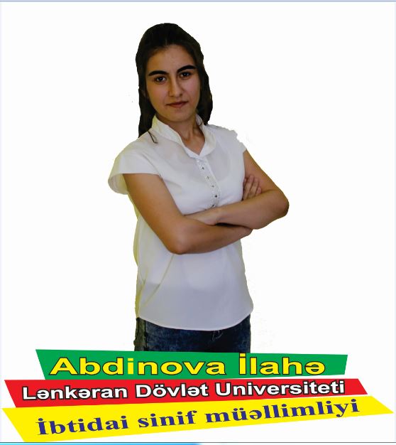 Şəkil
